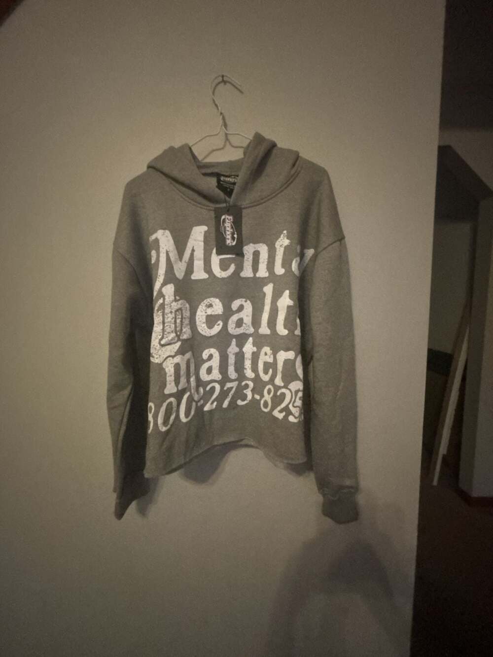 Euphoric Mental Health Matters Cropped Graphic Hoodie